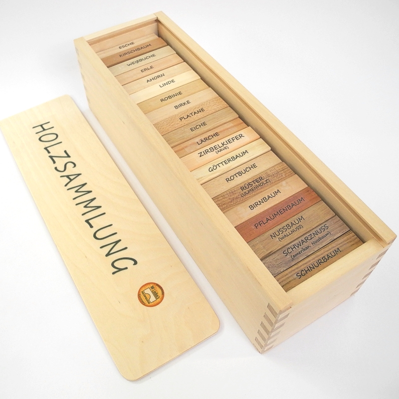 Holzsammlung mit 20 Holzarten, im Holzkasten